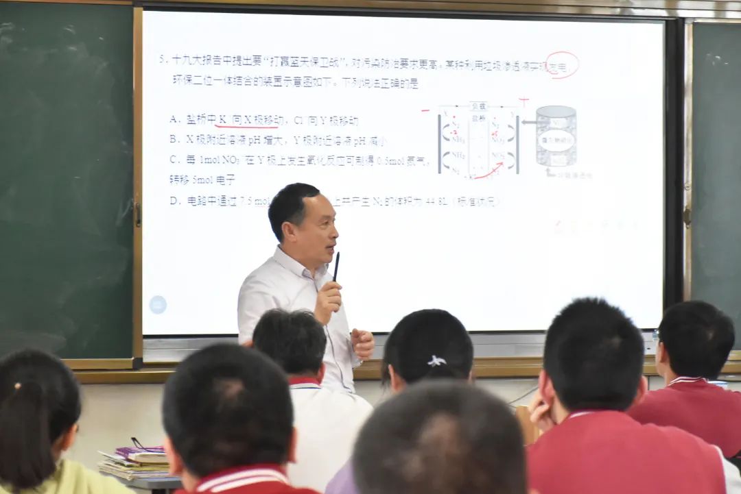 DSC_6613.jpg 圖片